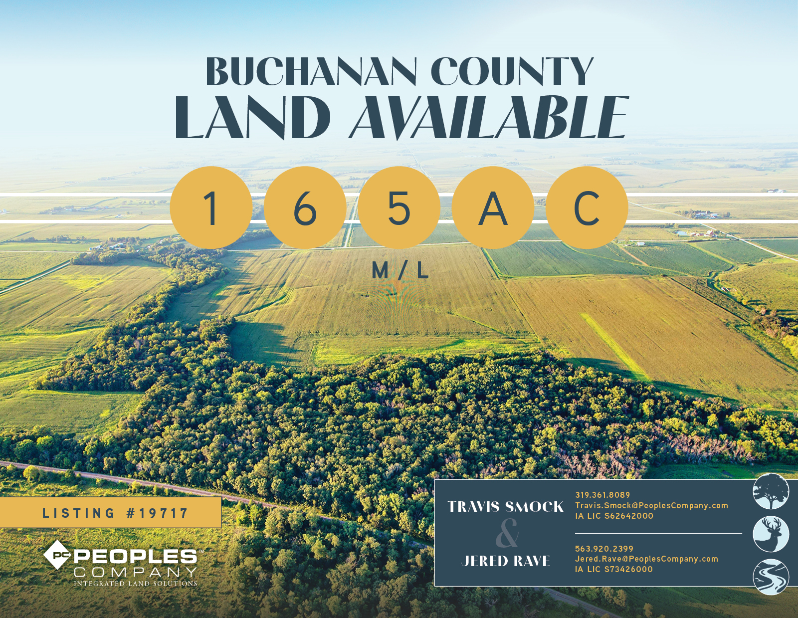 Listing #19717